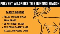 Graphic with deer outline and text - Prevent Wildfires This Hunting Season with a tip on target shooting