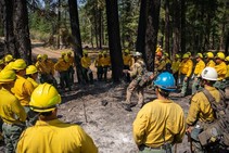 Firefighters lined up in a circle in a forest for a briefing.