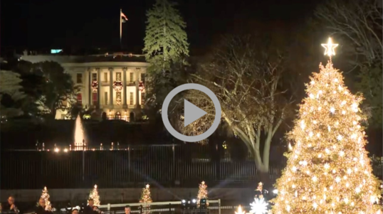 The National Christmas Tree shines with the White House in the background 