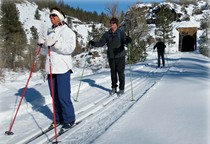 Three adults ski in a line in front of a tunnel with snow covered slopes dotted with conifers. 