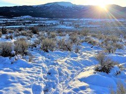 A winter landscape of mountains in the distance and a high desert valley floor below. 