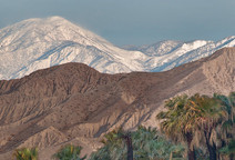 Palm trees in foreground with brown mid level mountains backed by tall snow capped mountains
