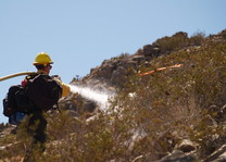 A wildland fire fighter walks up a hill with hose over soldier spraying down a slope.