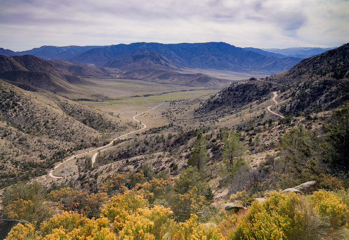 Owens Peak Wilderness and Domeland Wilderness, valley with wild flowers