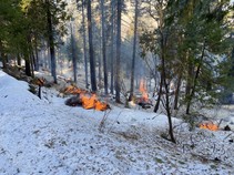 Pile burn in a snowy forest 