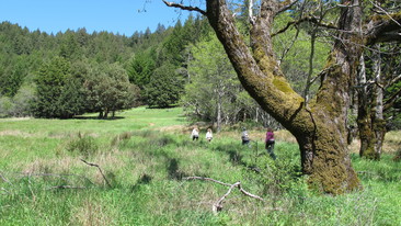 BLM employees walking through a meadow