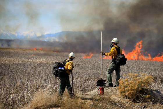 Two wildland firefighters stand on a small rise overlooking flames burning in tall, dried grass. Photo by Austin Catlin, BLM.