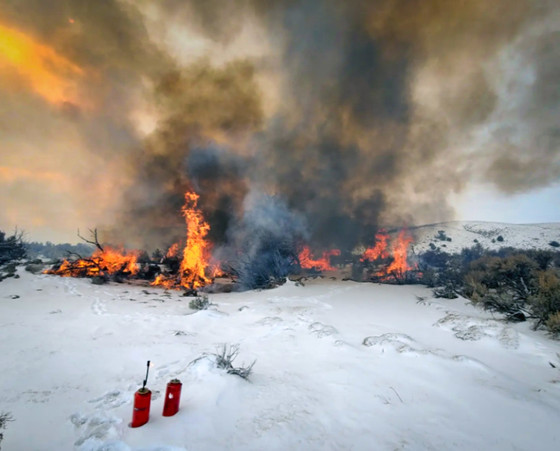 Flames and dark smoke rise from shrubs in above a snowy landscape. In the foreground, two drip torches stand in the snow. Photo by Sarah Wempen, BLM.