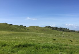 Fort Ord National Monument 