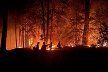 Crews working on forest fire at night