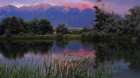 A still wetland surrounded by tall grasses and trees with a mountain range in the distance covered in a pinkish glow during sunset. 