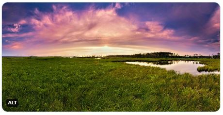 The sun peers through a sky-filling arc of purple and pink clouds over a coastal wetland.