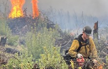 Firefighter working on pile burn in the forest