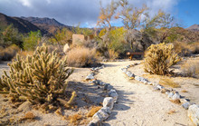 Desert landscape with a walkway