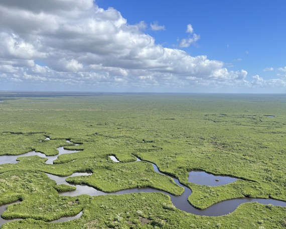 A view of the Everglades