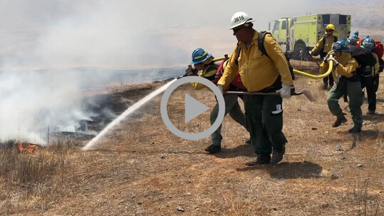 Wildland firefighters practice working together to carry a hose spraying water 
