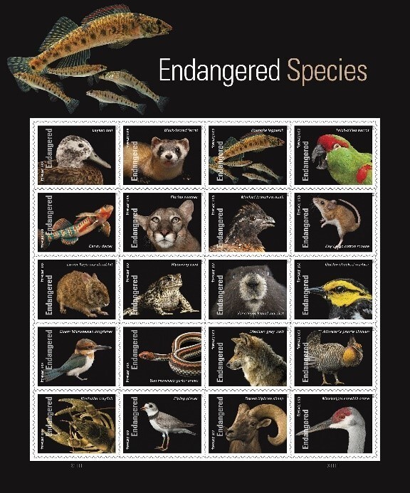 A series of stamps that feature different endangered species