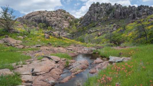 A mountain stream flows down from steep granite peaks. Orange flowers bloom near the edge of the creek.