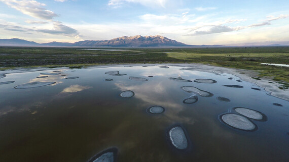 An ecologically critical wetland with a mountain range and white clouds in the distance.