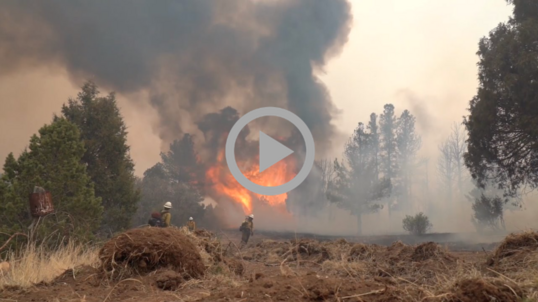 A ball of flame and a cloud of rising smoke obscure trees as firefighters battle a wildfire. 