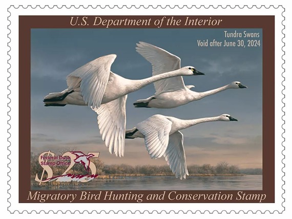 The 2023-2024 Federal Migratory Bird Hunting and Conservation Stamp