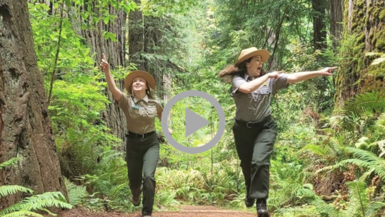 Two NPS Park Rangers run down a forest path, pointing in different directions and smiling. 
