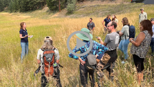 Bureau of Land Management Director Tracy Stone-Manning speaks with field personnel at the site of a restoration and resilience project in Montana.