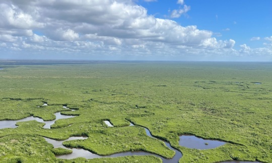 Photo of Everglades