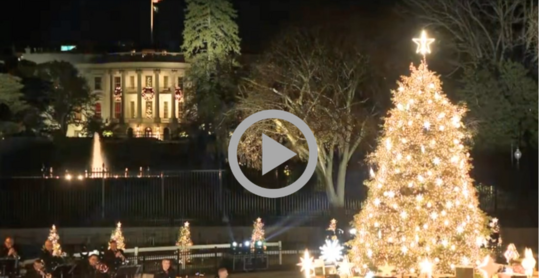 The National Christmas Tree blazes with light on the Ellipse with the White House visible in the background.