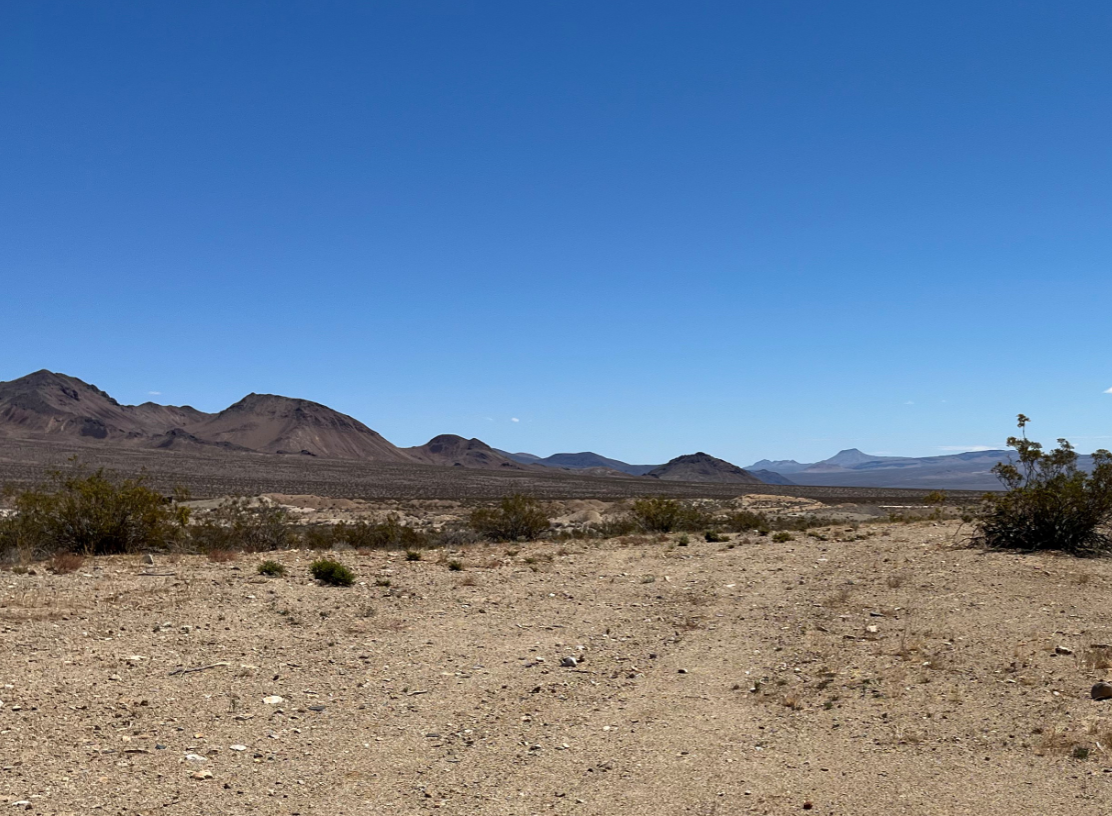 persistance mineing desert photo