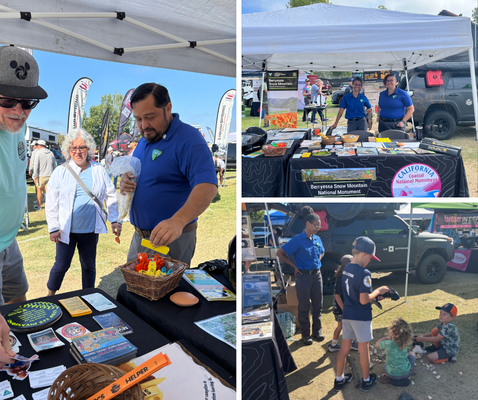 photo collage overland powersports