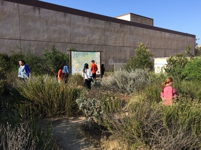 Leo Politi Elementary's schoolyard habitat near downtown Los Angeles (Angie Horn/National Wildlife Refuge Association).