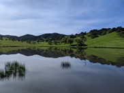 Rolling green hills