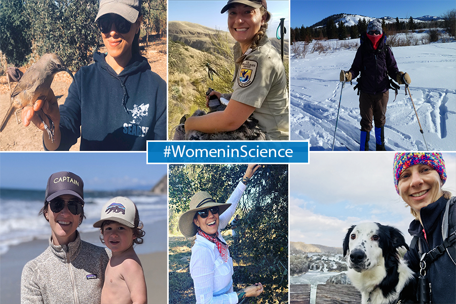 Photo collage of women scientists who work for the Ventura Fish and Wildlife Office