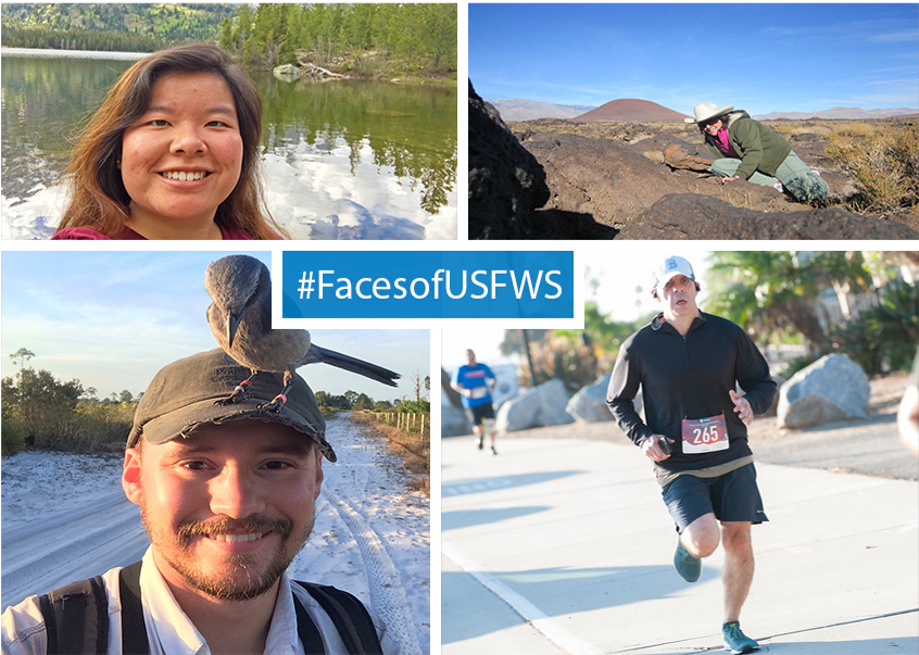 Photo collage of new employees who work at the Ventura Fish and Wildlife Office