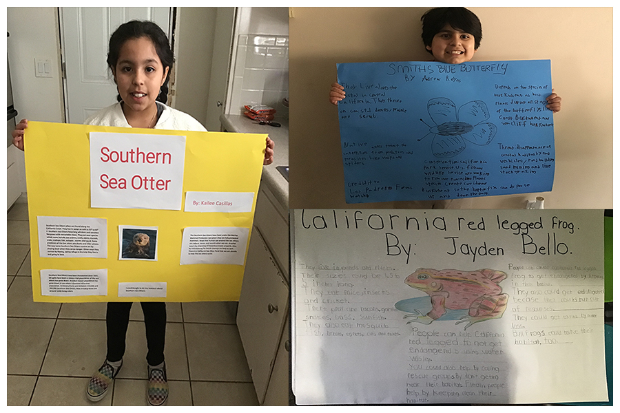 A collage of students holding posters with information about endangered species