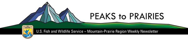 Peaks to Praires Newsletter