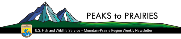 Peaks to Praires