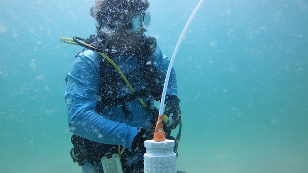 Photo of diver in the water next to a white plastic tube sticking up from the bottom