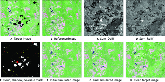 Imagery inputs and outputs related to the target image used for cloud and shadow detection and filling.