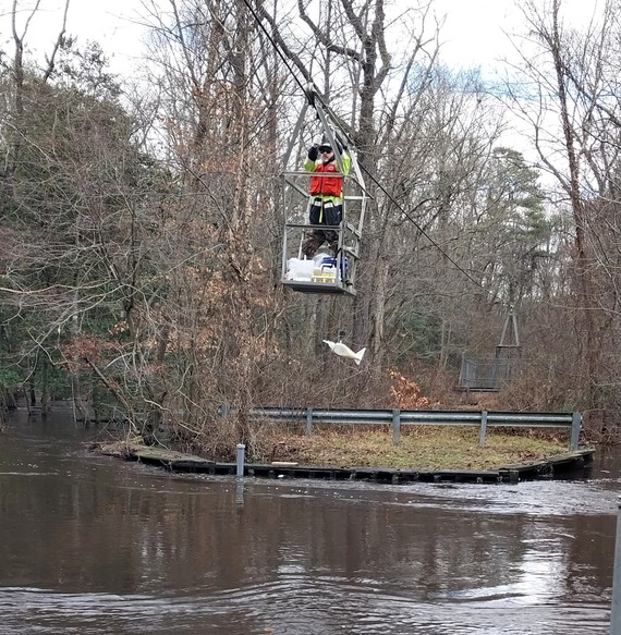 Collecting a water quality sample from the Choptank River.