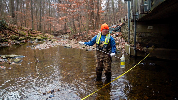 Collecting a water quality sample at Plumtree Run.