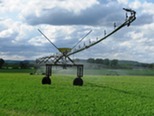 center pivot irrigation in a green field