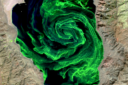 Landsat image of an algal bloom in Pyramid Lake, Nevada.