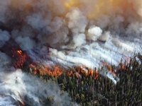 Wildfire_YNP_MikeLewelling_NPS