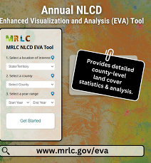 Instructional slide of a digital tool