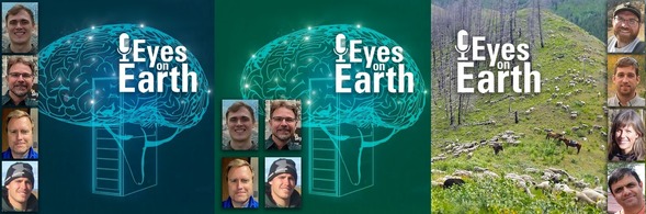 Three images side by side with the same title on each - two brains and one mountainous landscape with sheep