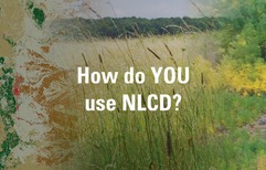 A text question in the middle surrounded by images