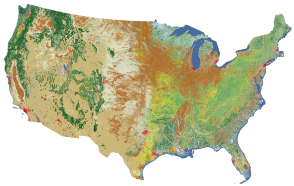 Annual NLCD map of the United States with tones in a variety of greens, browns, blues and reds 