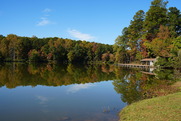 ICT_autumn
